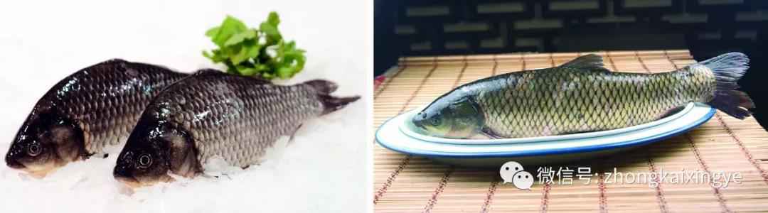 微信图片_20180615172830.jpg 微信图片_20180615172830.jpg