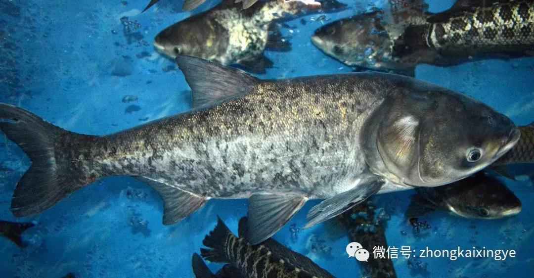 微信图片_20180615172834.jpg 微信图片_20180615172834.jpg