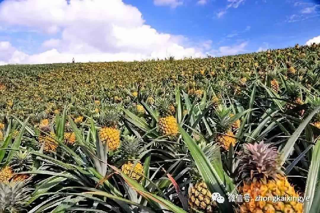 微信图片_20180615173548.jpg 微信图片_20180615173548.jpg