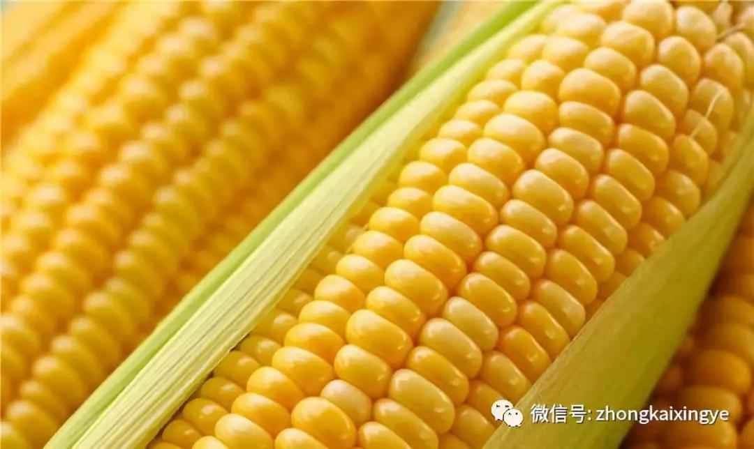 微信图片_20180622171232.jpg 微信图片_20180622171232.jpg