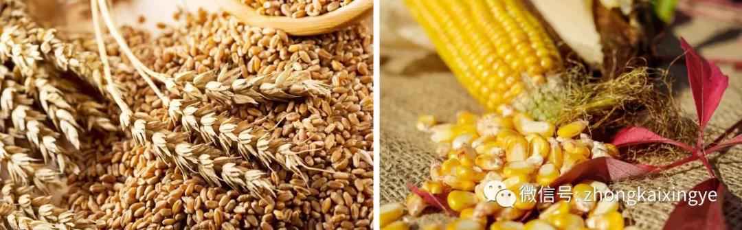 微信图片_20180622171242.jpg 微信图片_20180622171242.jpg