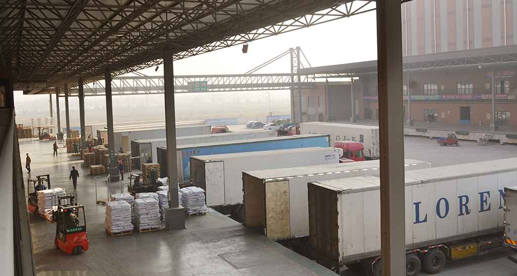 DSC_012911111111111111111.jpg DSC_012911111111111111111.jpg