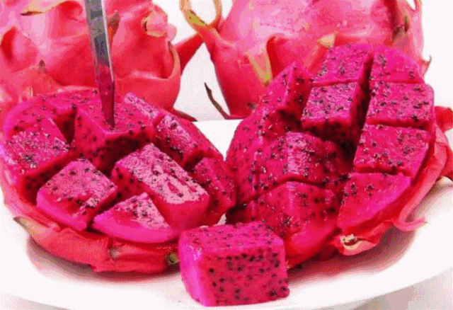 timg (1).gif timg (1).gif