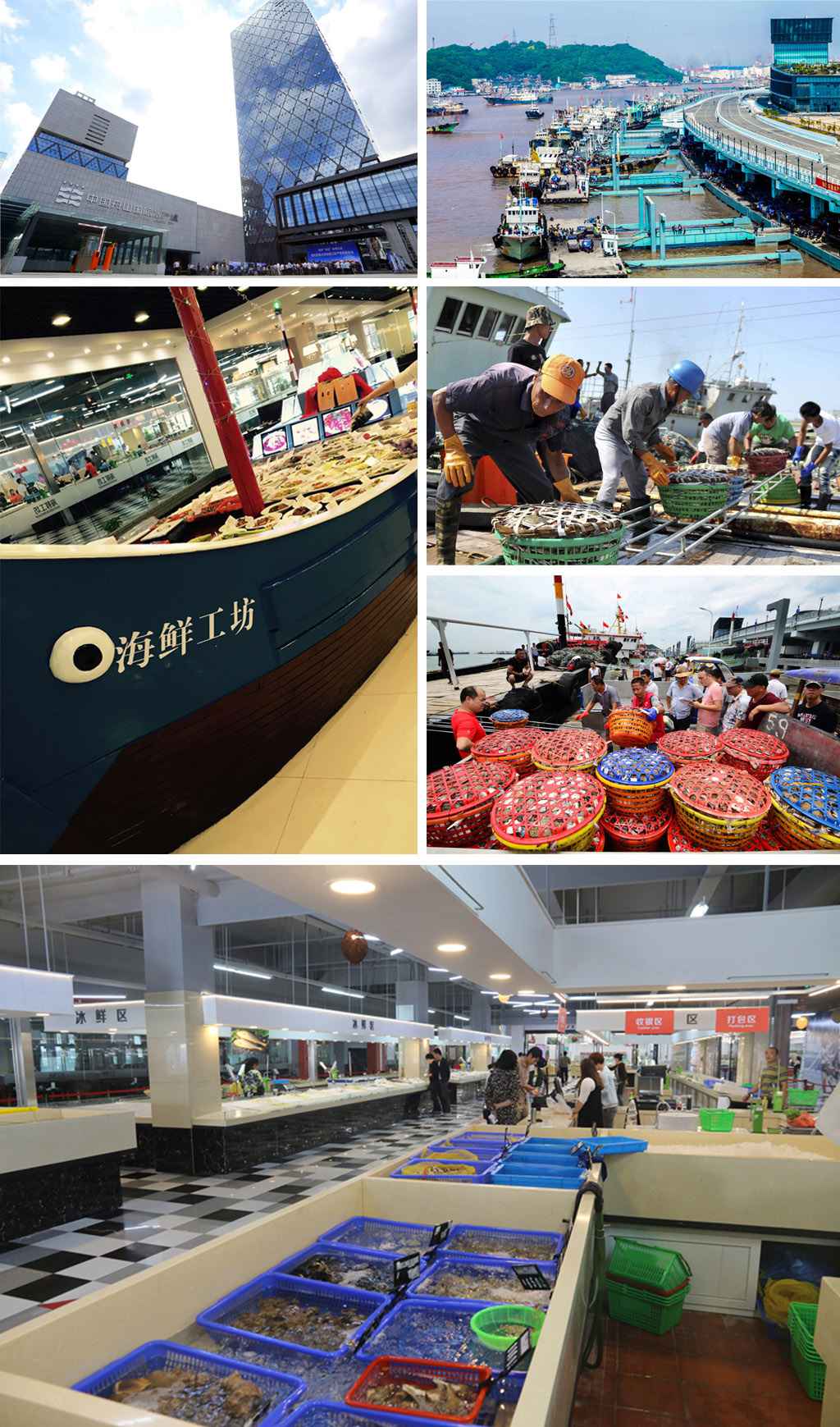 组合.jpg 组合.jpg