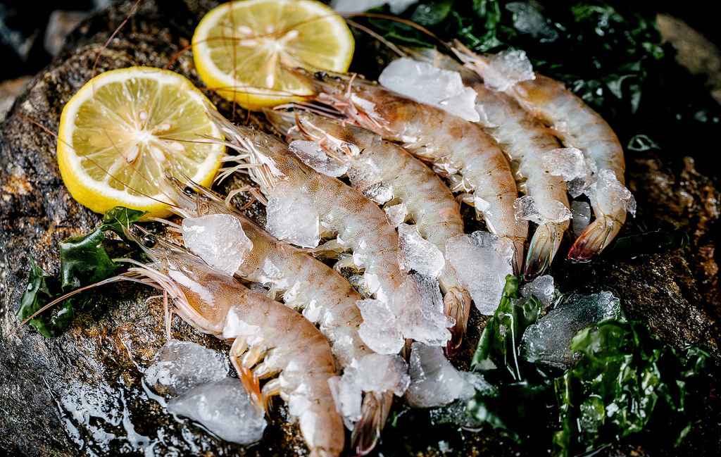 84245_022642780101_2.jpg 84245_022642780101_2.jpg