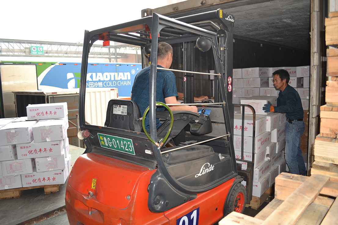 DSC_01041.jpg DSC_01041.jpg