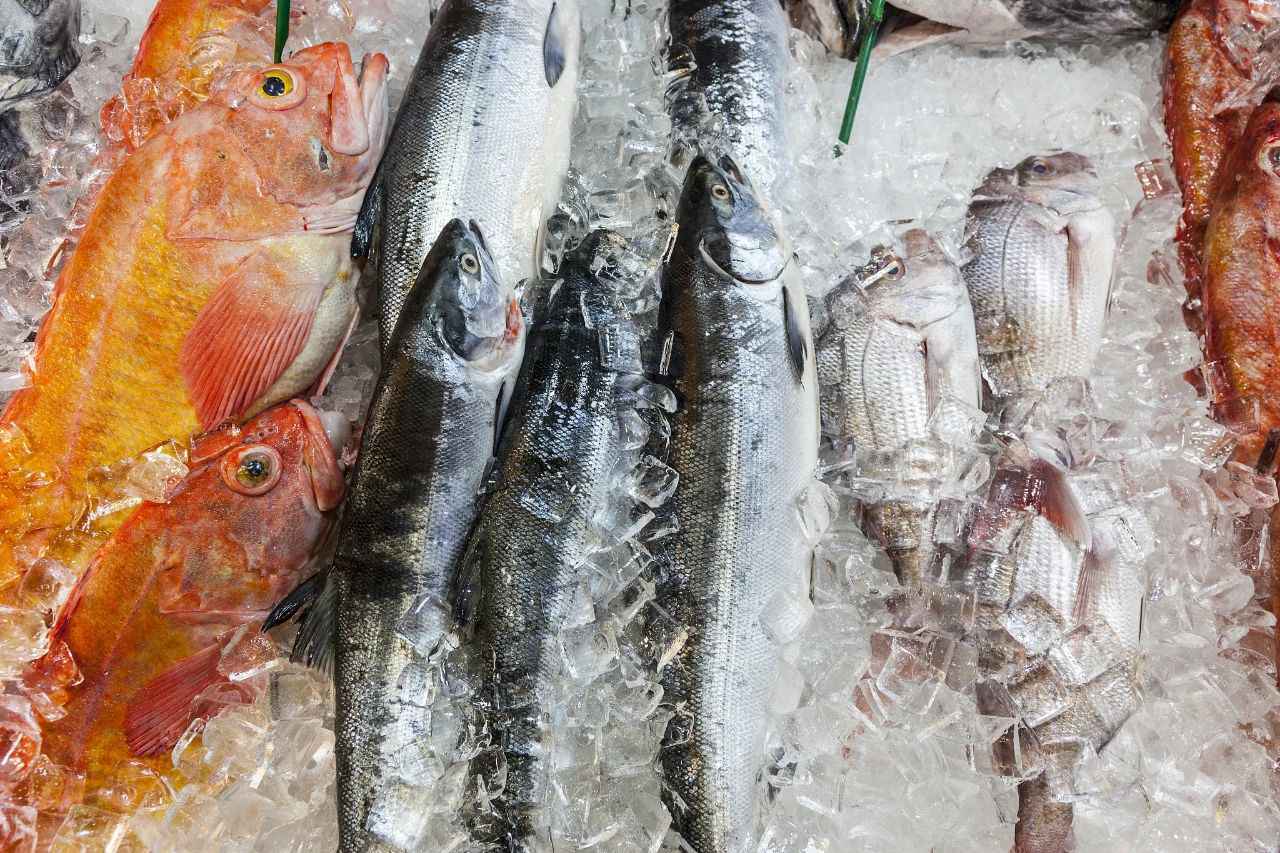 微信图片_20201117162226.jpg 微信图片_20201117162226.jpg